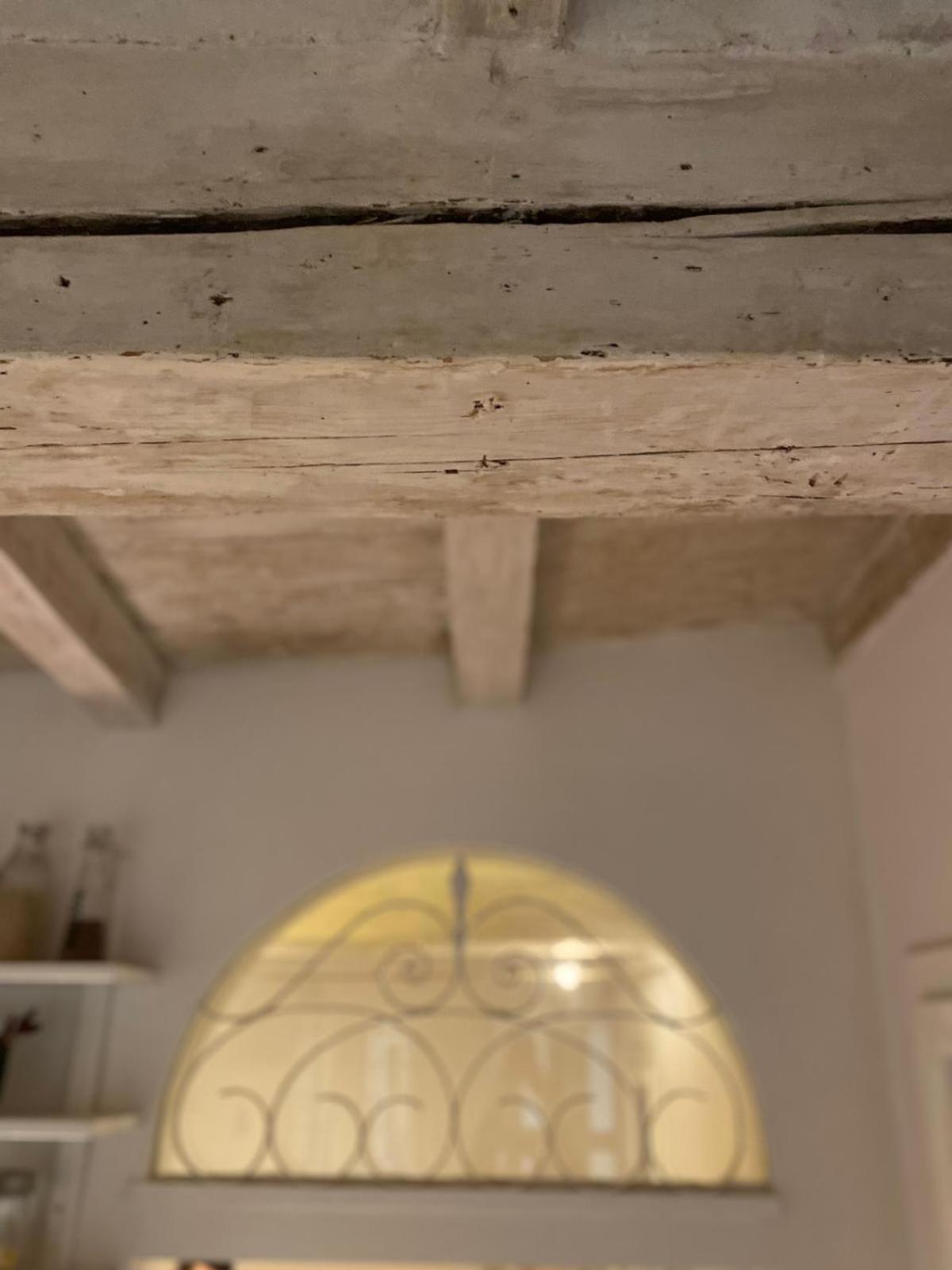 Casina Centotrecento-Romantic & Quite Apartment- 博洛尼亚 外观 照片